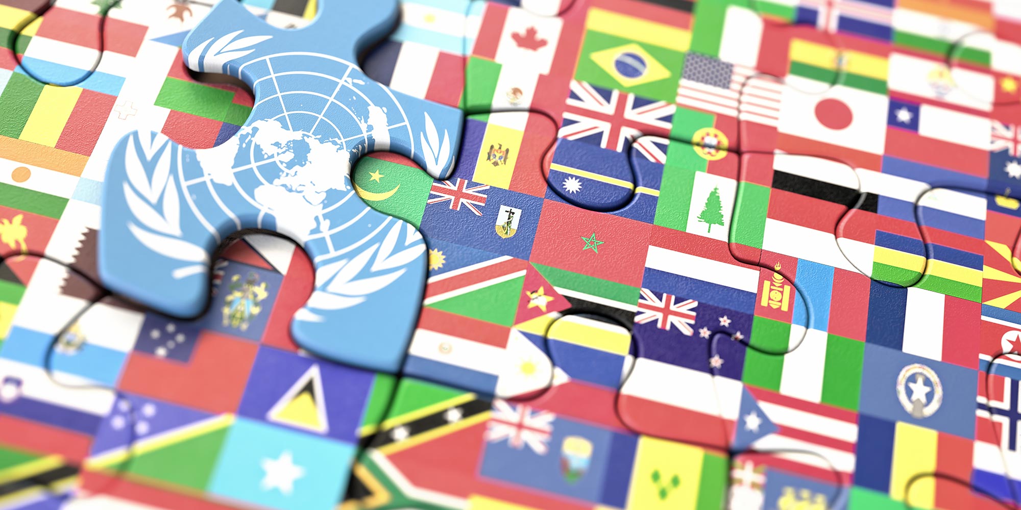 International NGOs